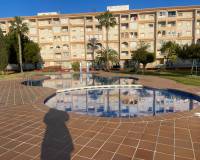 Videresalg - Apartment/Flat - Torrevieja - Villa Madrid