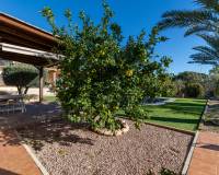 Videresalg - Villa - Elche