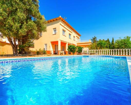 Villa - Reventa - Torrevieja - SEF-91530