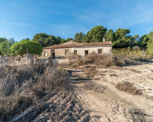 Villa - Sale - Pilar de la Horadada - SEF-89894