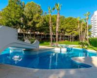Wederverkoop - Apartment/Flat - Orihuela Costa - Altos de Campoamor