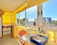 Wederverkoop - Apartment/Flat - Torrevieja - Rocio del Mar