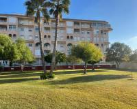 Wederverkoop - Apartment/Flat - Torrevieja - Villa Madrid