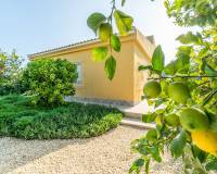 Wederverkoop - Villa - San Miguel de Salinas - san miguel