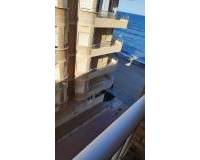 Wiederverkauf - Apartment/Flat - La Mata - Playa la Mata