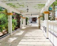 Wiederverkauf - Apartment/Flat - La Mata