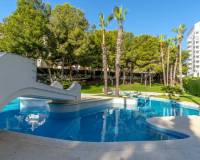 Wiederverkauf - Apartment/Flat - Orihuela Costa - Campoamor