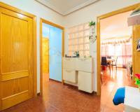 Wiederverkauf - Apartment/Flat - Orihuela