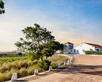 Wiederverkauf - Apartment/Flat - Torrevieja - PLAYA DE LA MATA