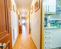 Wiederverkauf - Apartment/Flat - Torrevieja - Playa del Acequion