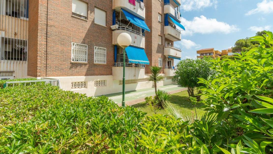 Wiederverkauf - Apartment/Flat - Torrevieja - Rocio del Mar