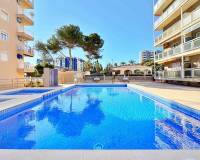Wiederverkauf - Apartment/Flat - Torrevieja - Rocio del Mar
