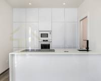 Yeni yapı - Villa - Pilar de la Horadada - Centro