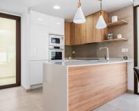 Yeni yapı - Villa - Rojales - Benimar