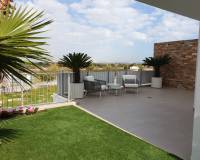 Yeni yapı - Villa - Rojales